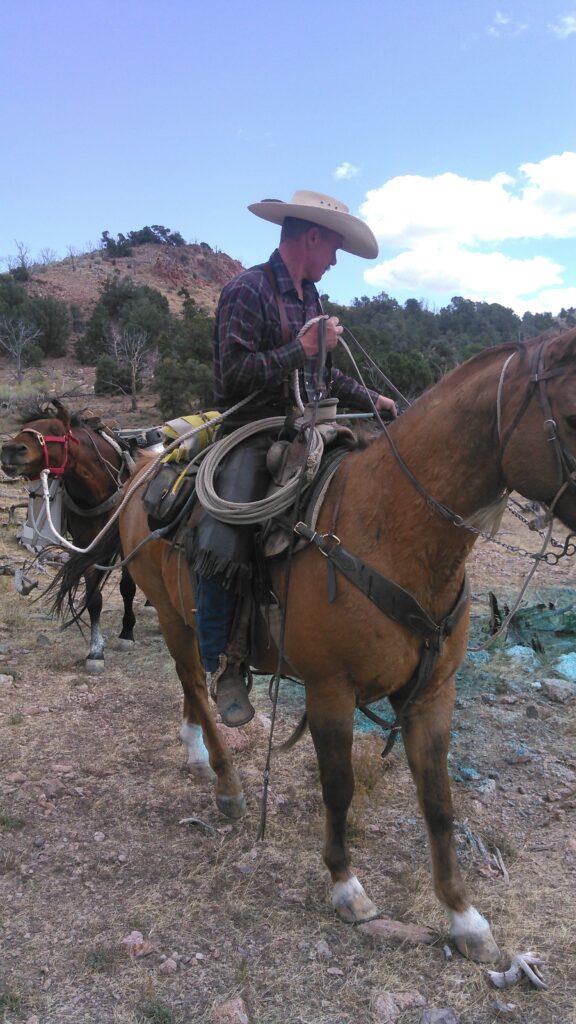A man sprays invasive species from horseback, with a hill in the background.