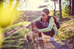 woman on a hike checking dog for ticks