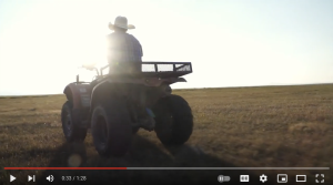 ATV on grassland video screenshot
