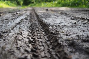 Muddy bike trail leading towards dry ground with texture of tire profile clearly visible in the wet mud.