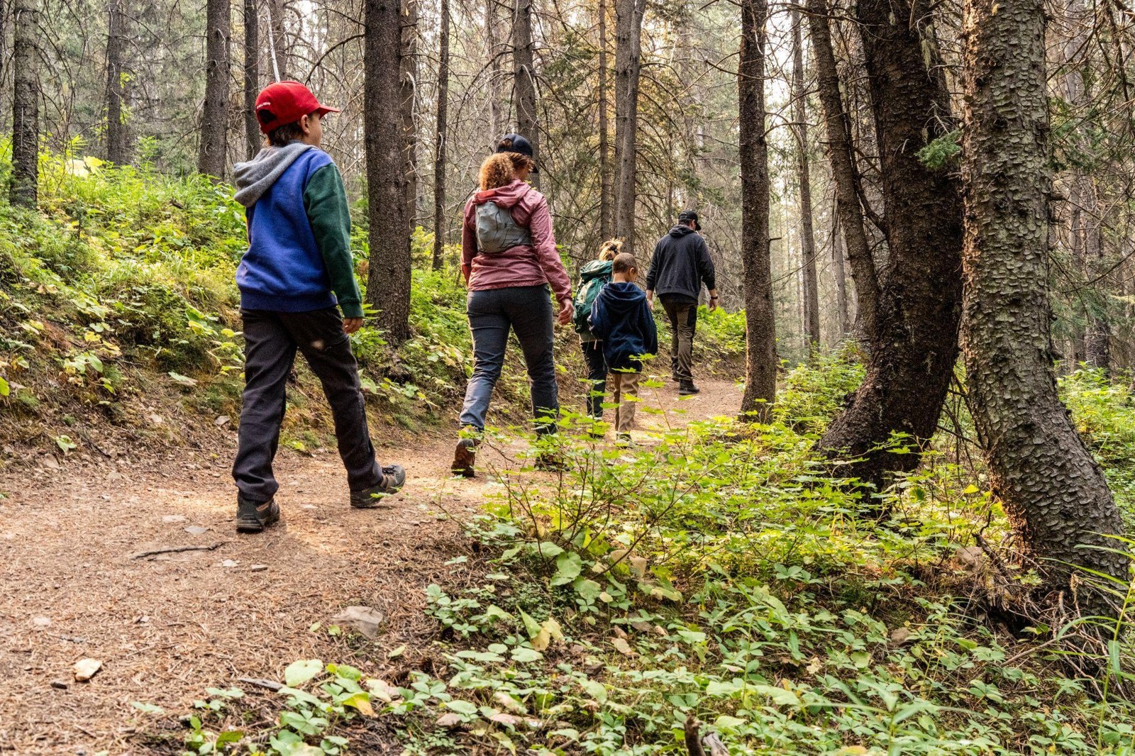 A family hiking along a forest trail